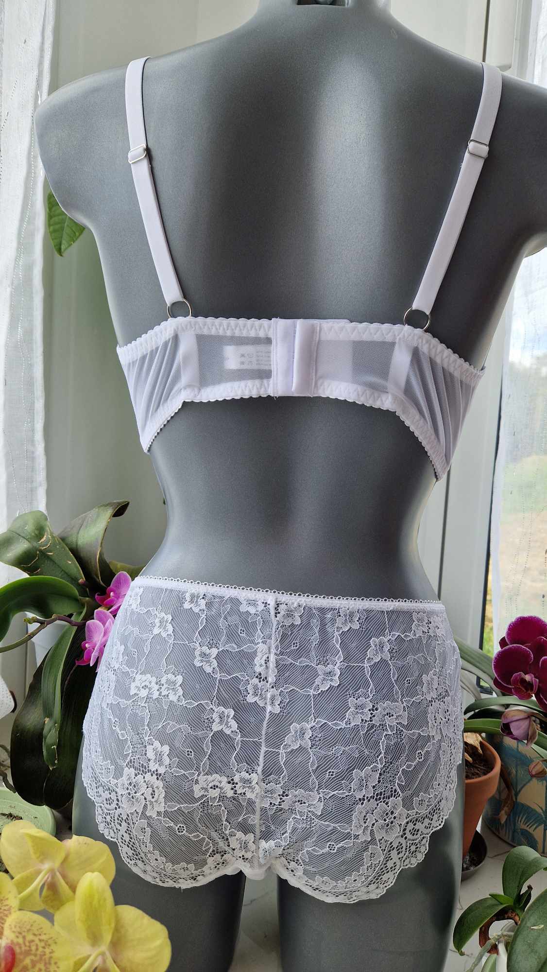 slip myosotis – Image 4